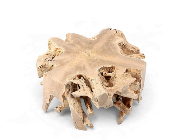 Free Form Teak Root Coffee Table 2 - Dyag East