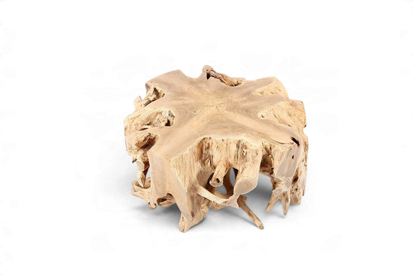 Free Form Teak Root Coffee Table 2 - Dyag East