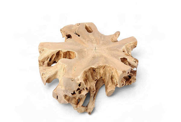 Free Form Teak Root Coffee Table - Dyag East
