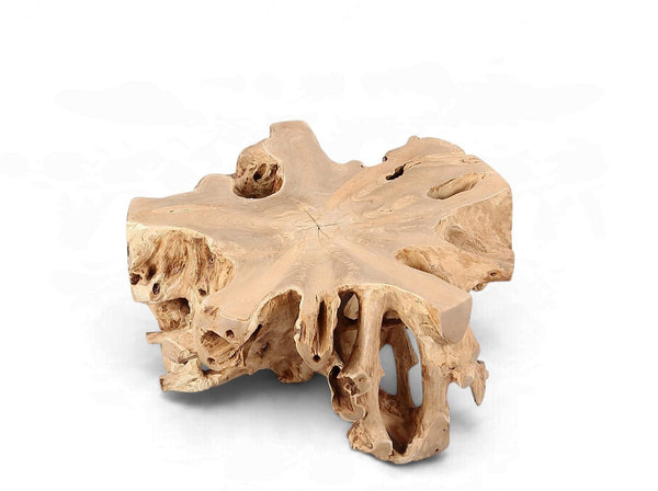 Free Form Teak Root Coffee Table - Dyag East