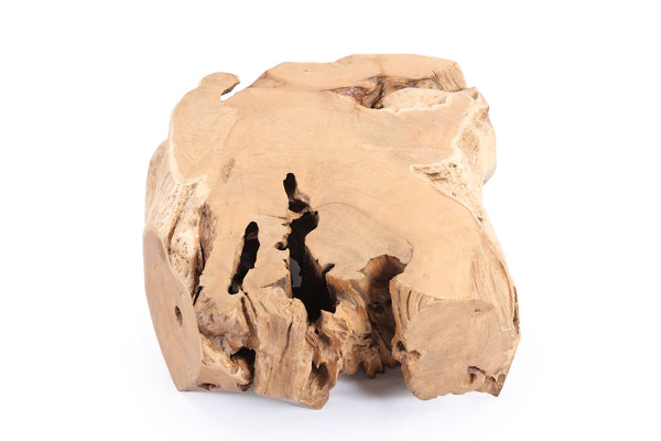 Free Form Teak Root Coffee Table - Dyag East