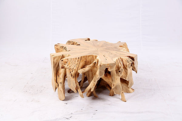Free Form Teak Root Coffee Table 3 - Dyag East