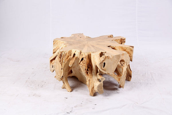 Free Form Teak Root Coffee Table 3 - Dyag East