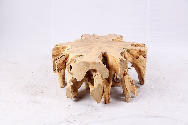 Free Form Teak Root Coffee Table 3 - Dyag East
