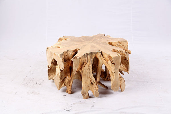 Free Form Teak Root Coffee Table 3 - Dyag East