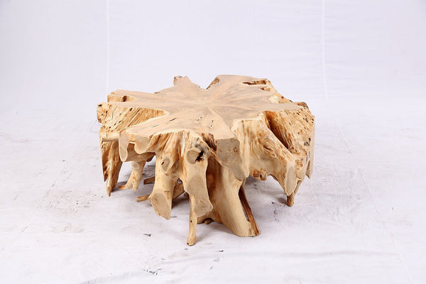 Free Form Teak Root Coffee Table 3 - Dyag East