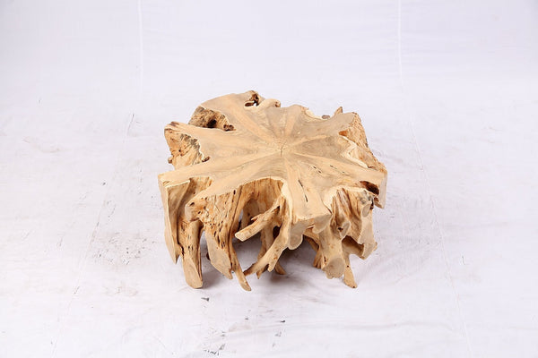 Free Form Teak Root Coffee Table 3 - Dyag East