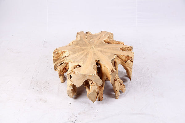 Free Form Teak Root Coffee Table 3 - Dyag East