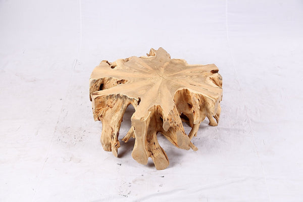 Free Form Teak Root Coffee Table 3 - Dyag East