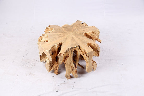 Free Form Teak Root Coffee Table 3 - Dyag East