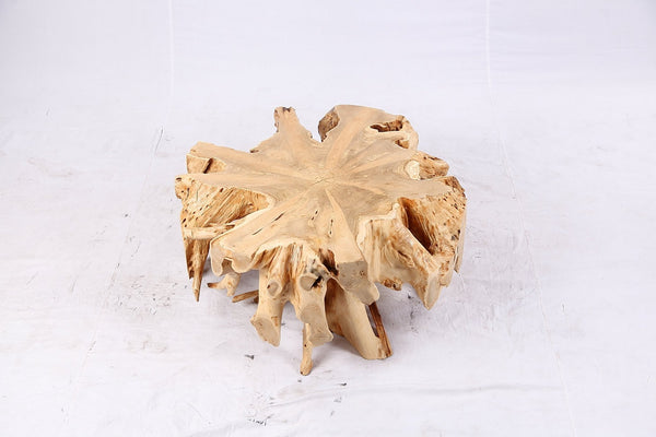 Free Form Teak Root Coffee Table 3 - Dyag East