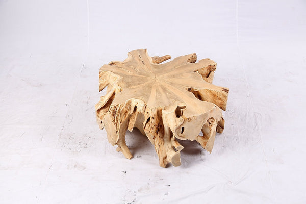 Free Form Teak Root Coffee Table 3 - Dyag East