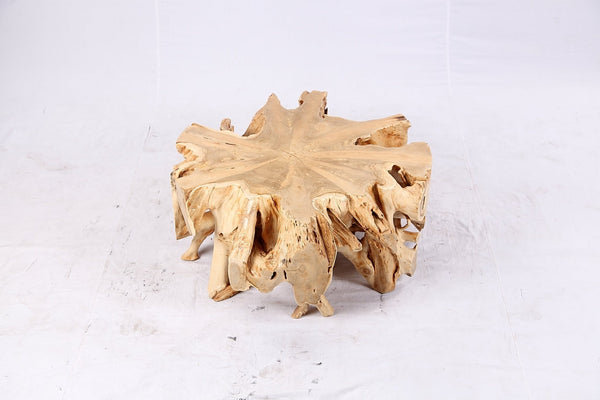 Free Form Teak Root Coffee Table 3 - Dyag East