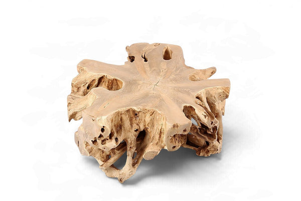 Free Form Teak Root Coffee Table - Dyag East