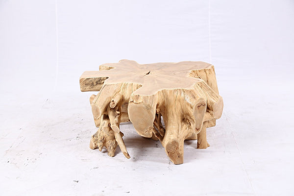 Free Form Teak Root Coffee Table 4 - Dyag East