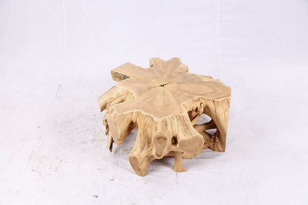 Free Form Teak Root Coffee Table 4 - Dyag East