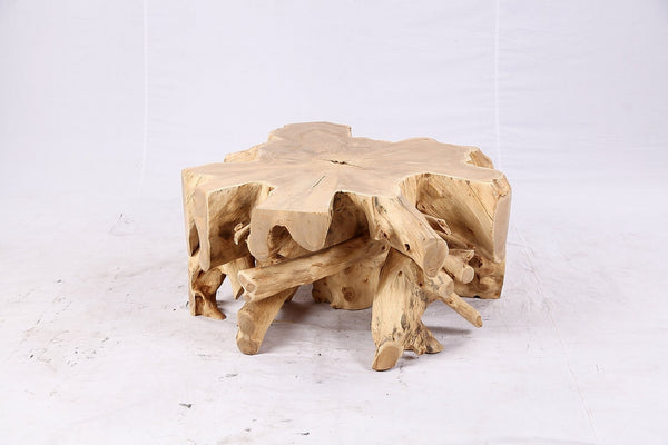Free Form Teak Root Coffee Table 4 - Dyag East