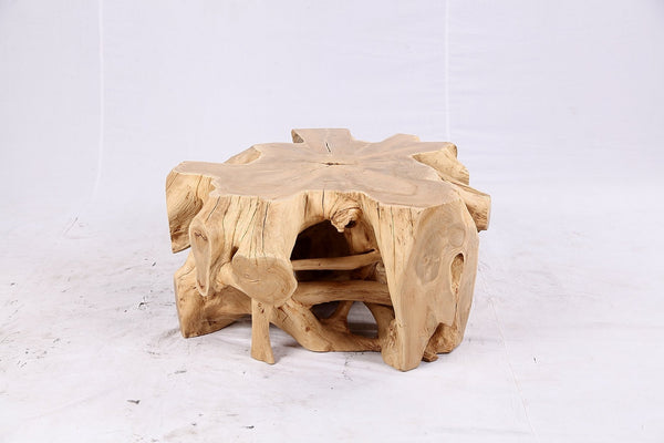 Free Form Teak Root Coffee Table 4 - Dyag East