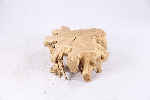 Free Form Teak Root Coffee Table 4 - Dyag East