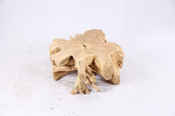 Free Form Teak Root Coffee Table 4 - Dyag East