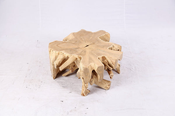Free Form Teak Root Coffee Table 4 - Dyag East