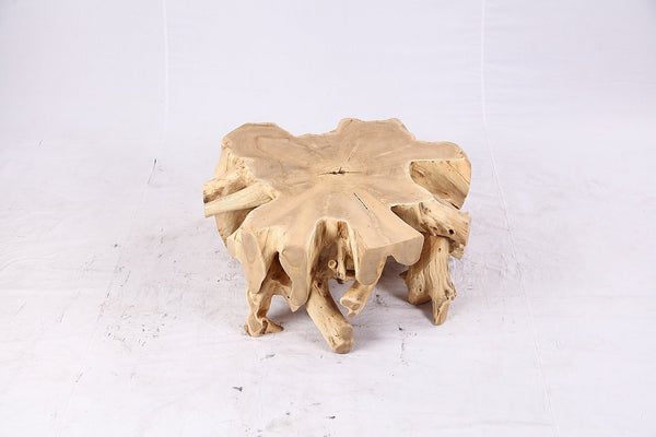Free Form Teak Root Coffee Table 4 - Dyag East