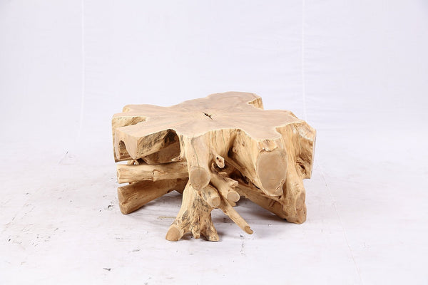 Free Form Teak Root Coffee Table 4 - Dyag East