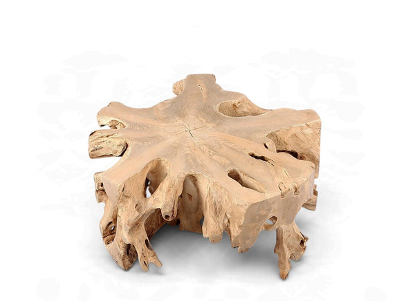 Free Form Teak Root Coffee Table - Dyag East