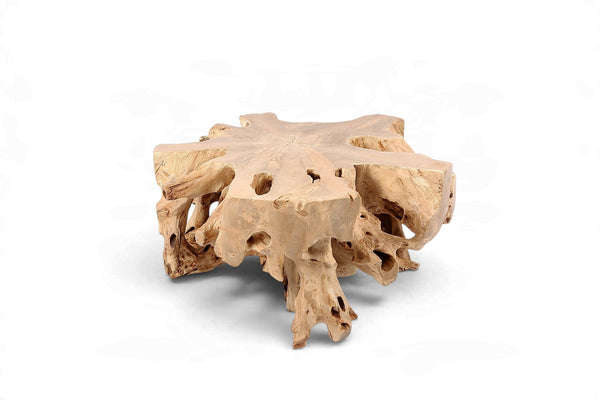Free Form Teak Root Coffee Table - Dyag East