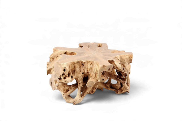 Free Form Teak Root Coffee Table - Dyag East
