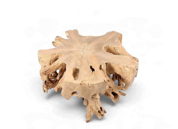 Free Form Teak Root Coffee Table - Dyag East