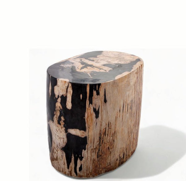 Large Oval Petrified Wood Accent Table or Side Table 1 - Dyag East