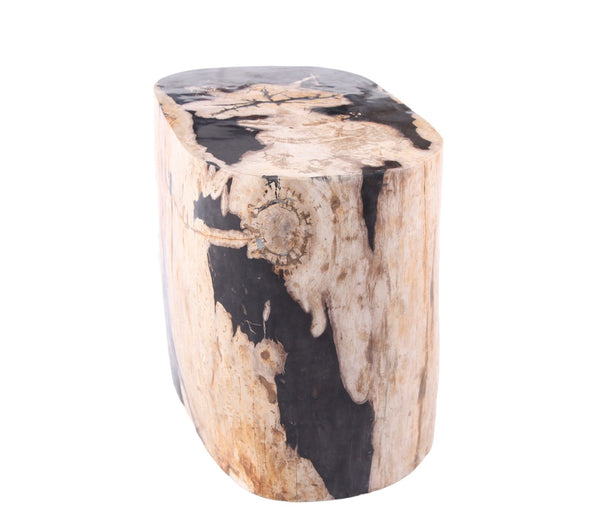 Large Oval Petrified Wood Accent Table or Side Table 2 - Dyag East