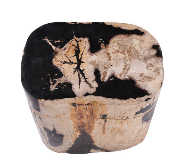 Large Oval Petrified Wood Accent Table or Side Table 2 - Dyag East