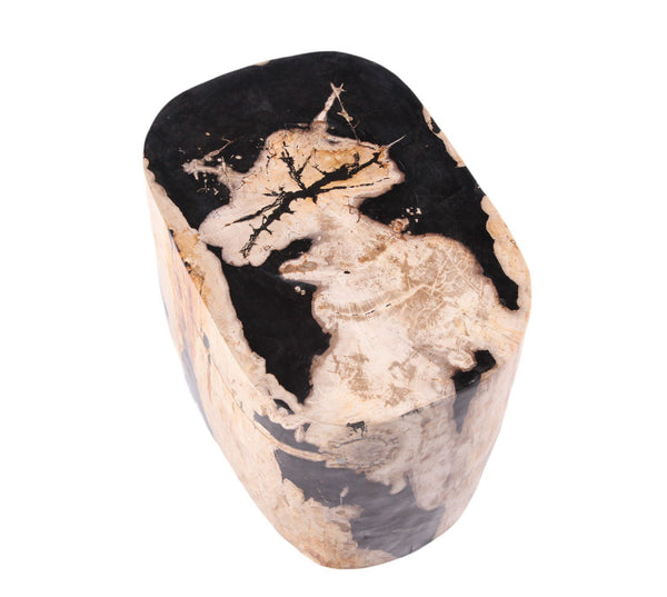Large Oval Petrified Wood Accent Table or Side Table 2 - Dyag East