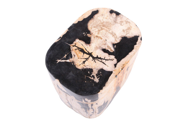 Large Oval Petrified Wood Accent Table or Side Table 2 - Dyag East