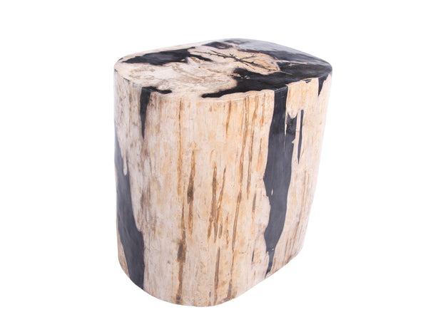 Large Oval Petrified Wood Accent Table or Side Table 2 - Dyag East