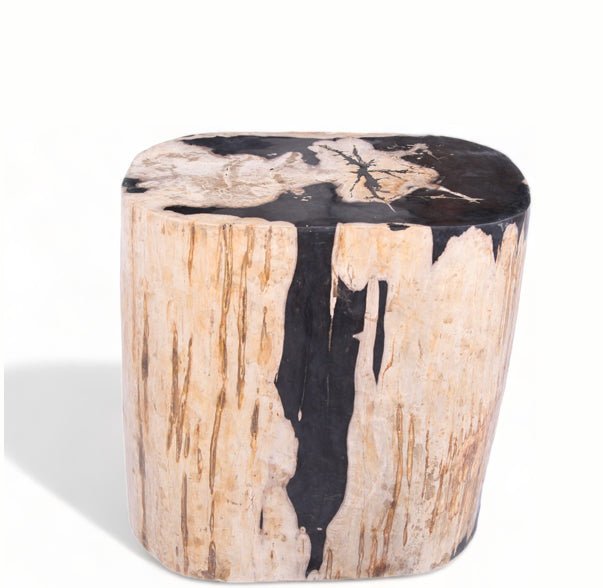 Large Oval Petrified Wood Accent Table or Side Table 2 - Dyag East