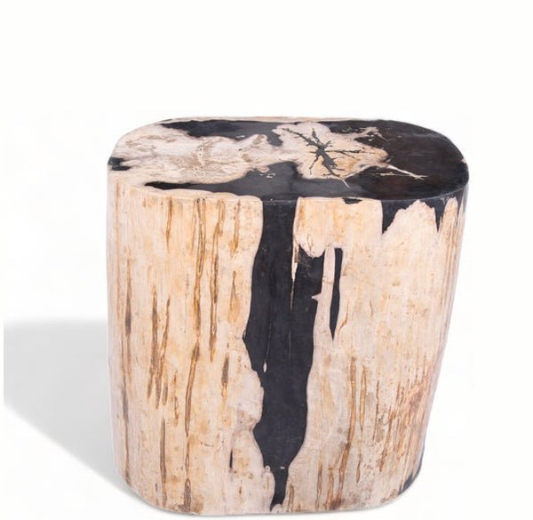 Large Oval Petrified Wood Accent Table or Side Table 2 - Dyag East