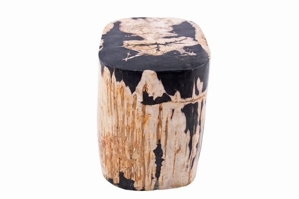 Large Oval Petrified Wood Accent Table or Side Table 2 - Dyag East