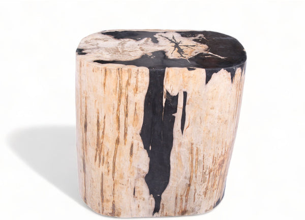 Large Oval Petrified Wood Accent Table or Side Table 2 - Dyag East