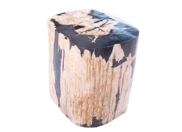 Large Oval Petrified Wood Accent Table or Side Table 2 - Dyag East