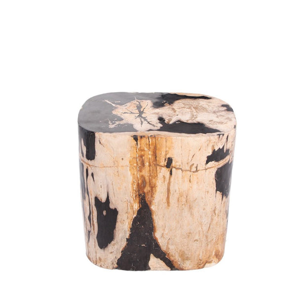 Large Oval Petrified Wood Accent Table or Side Table 2 - Dyag East