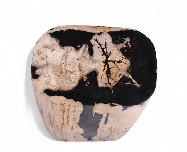 Large Oval Petrified Wood Accent Table or Side Table 2 - Dyag East