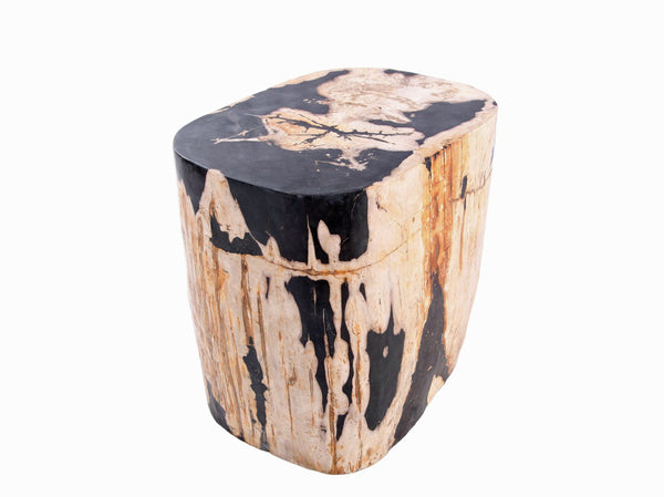 Large Oval Petrified Wood Accent Table or Side Table 2 - Dyag East