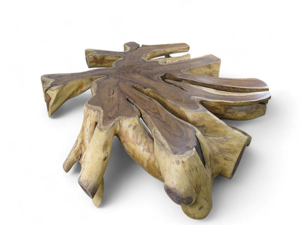 Monumental Root Coffee Table, 93"W x 84"D - Dyag East