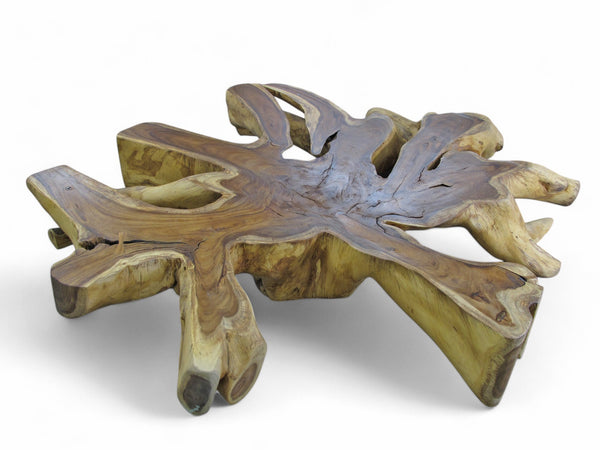 Monumental Root Coffee Table, 93"W x 84"D - Dyag East