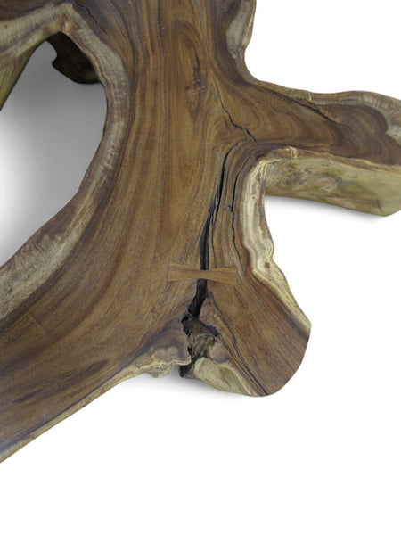 Monumental Root Coffee Table, 93"W x 84"D - Dyag East