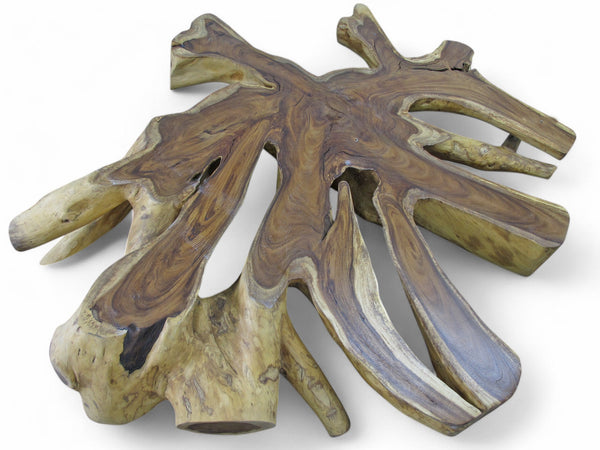 Monumental Root Coffee Table, 93"W x 84"D - Dyag East
