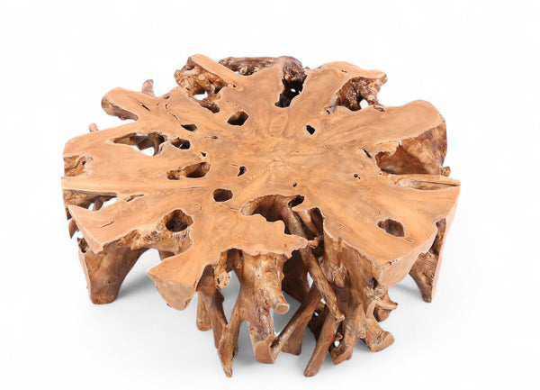 Natural Teak Root Color Round Coffee Table - Dyag East